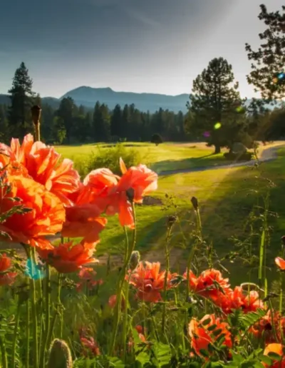graeagle meadows golf course course gallery 005