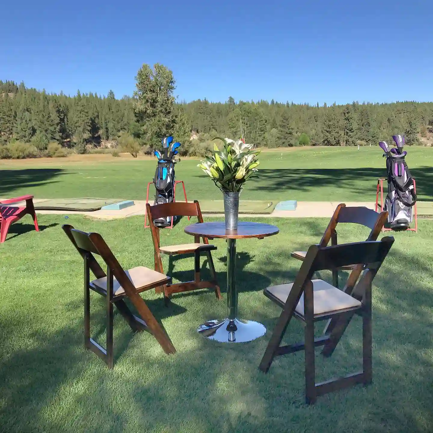 graeagle meadows golf course 40